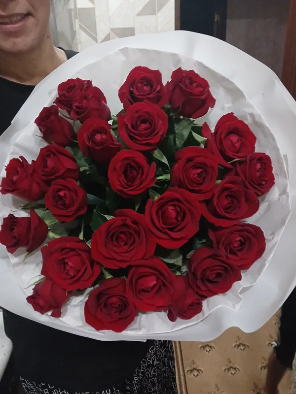 qizil atirgul narxi 300ming qiziqganlar bo'lsa tel 2 qizil atirgul narxi 300ming qiziqganlar bo'lsa tel 2