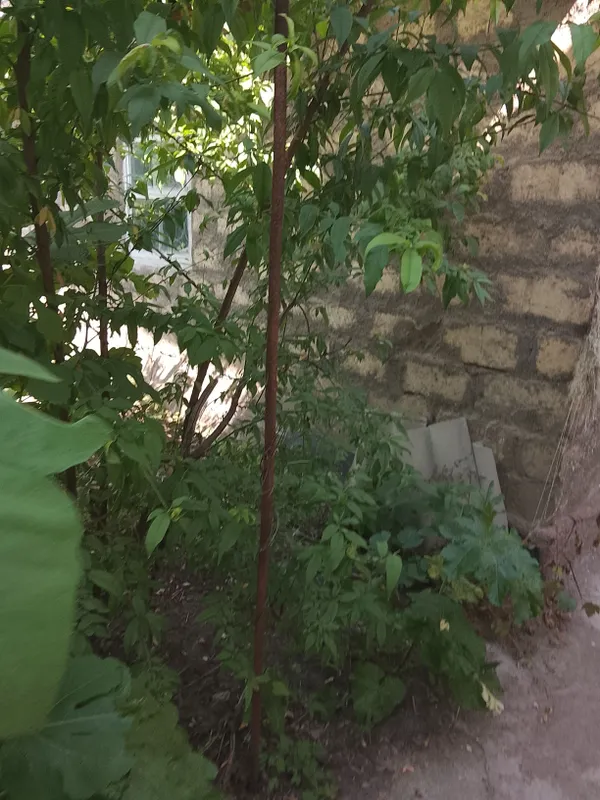 Продаётся дом в Алмалыке в хорошем районе — фото 4