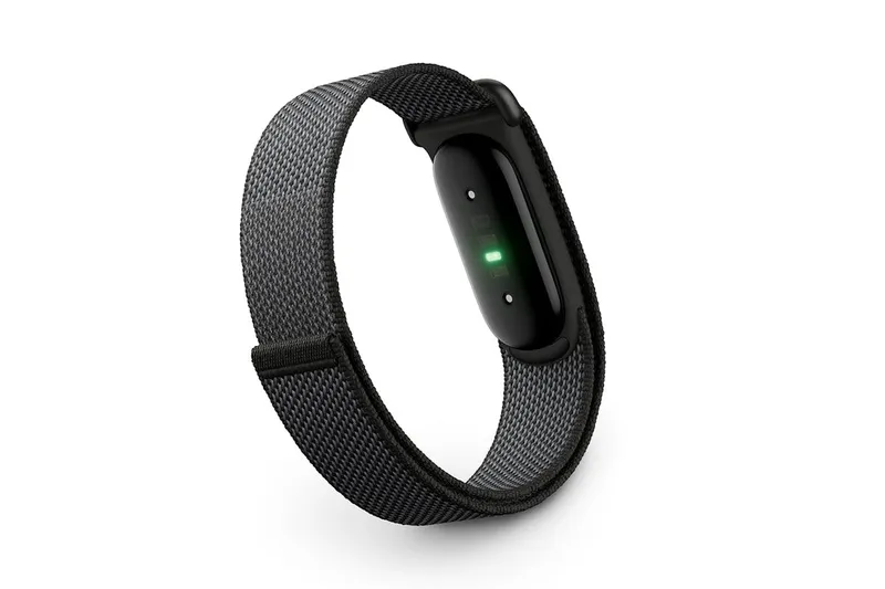 Google Fitbit Air 1 Google Fitbit Air 1