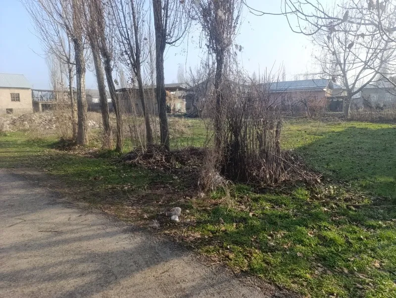 Бош участка.8сотих