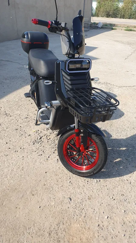 skutr 1 skutr 1