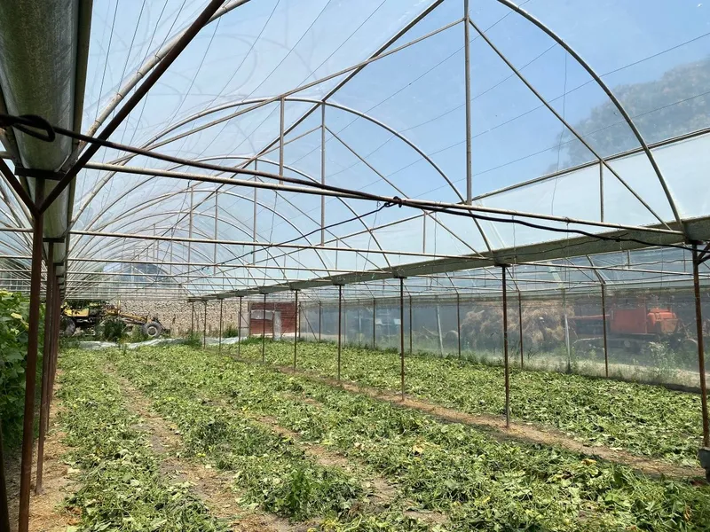 Issiq xona sotiladi 8 sotik 6.4×30 2 Issiq xona sotiladi 8 sotik 6.4×30 2
