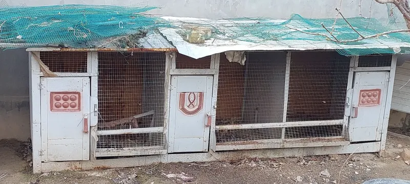 Товук катак сотилади/Продаётся домик для кур — фото 1