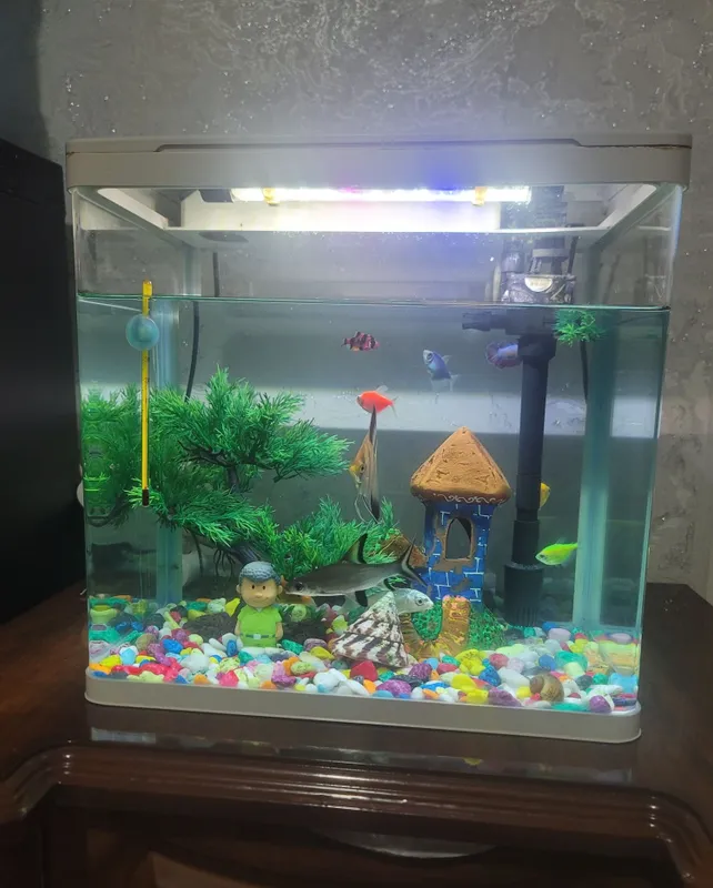 Akuvarium full 30-35 L 3 Akuvarium full 30-35 L 3