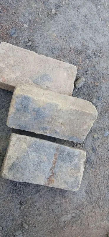 Николай гишт сарик