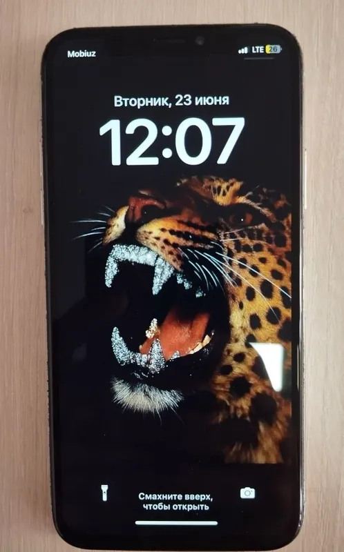 iPhone X 3