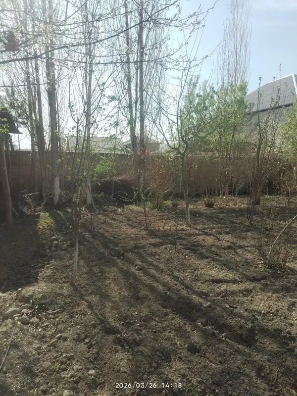 Fargona shaxar Beshbolada 3 so tix er sotiladi