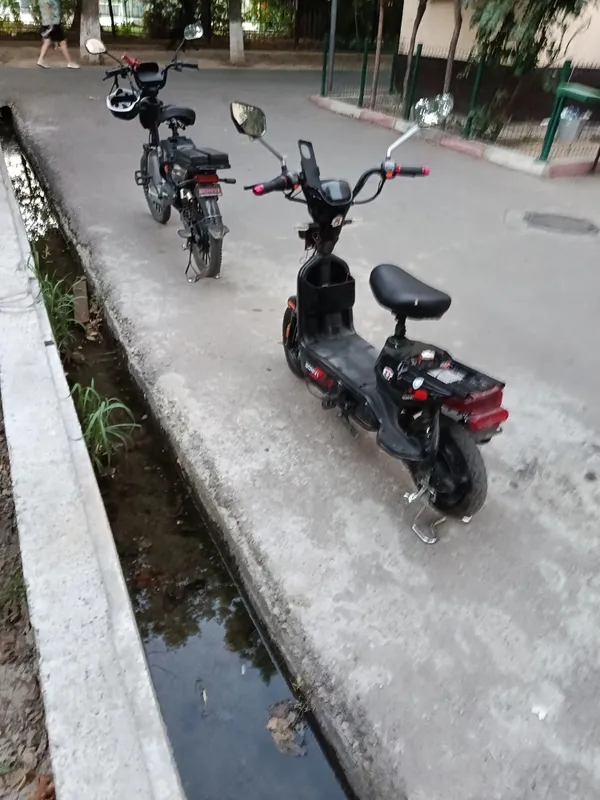sukutr sotiladi 4 sukutr sotiladi 4
