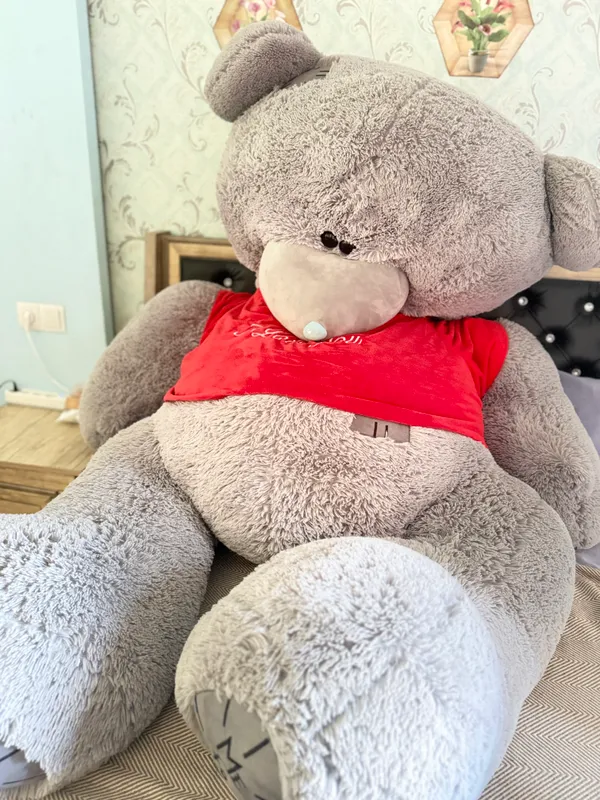 Tedi ayqcha 2