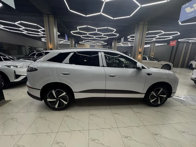 Byd Sea Lione 06 5