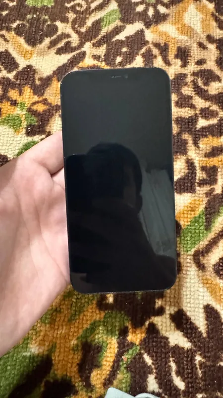 iPhone 12 pro LLA