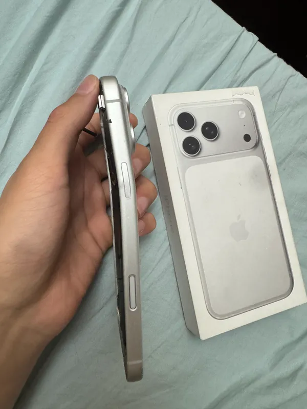 17 Pro Max, серебристый, 256 ГБ, SIM + eSIM 2