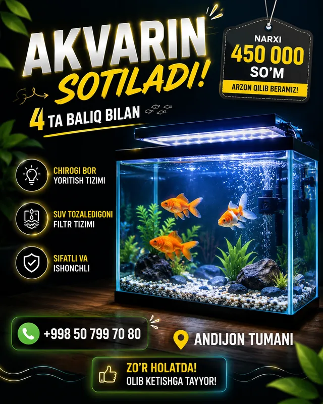 Akvarin va Baliqlar Akvarin va Baliqlar