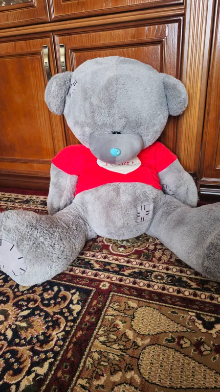 Teddy ayiq momiq