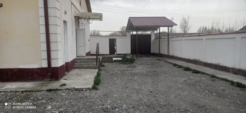 Hovosi toza tinch joydan kotej olaman deganlarga — фото 1