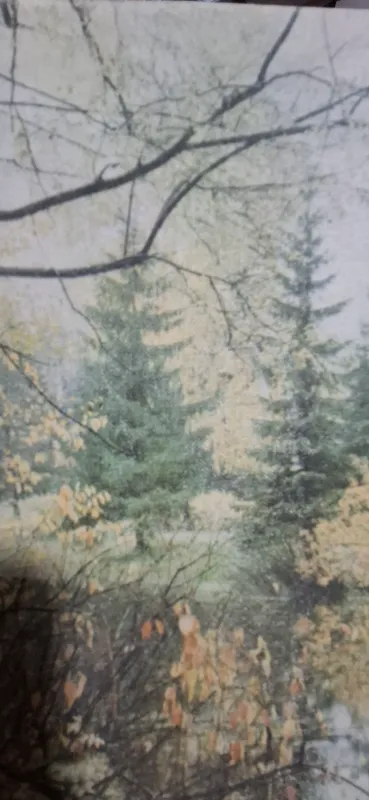 картинка ссср 1981 год 7