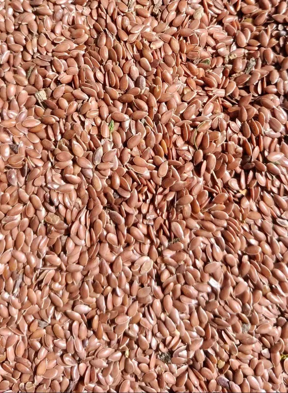 Qozogston Maxsulotlari 50 kg Alo sifatli% 4