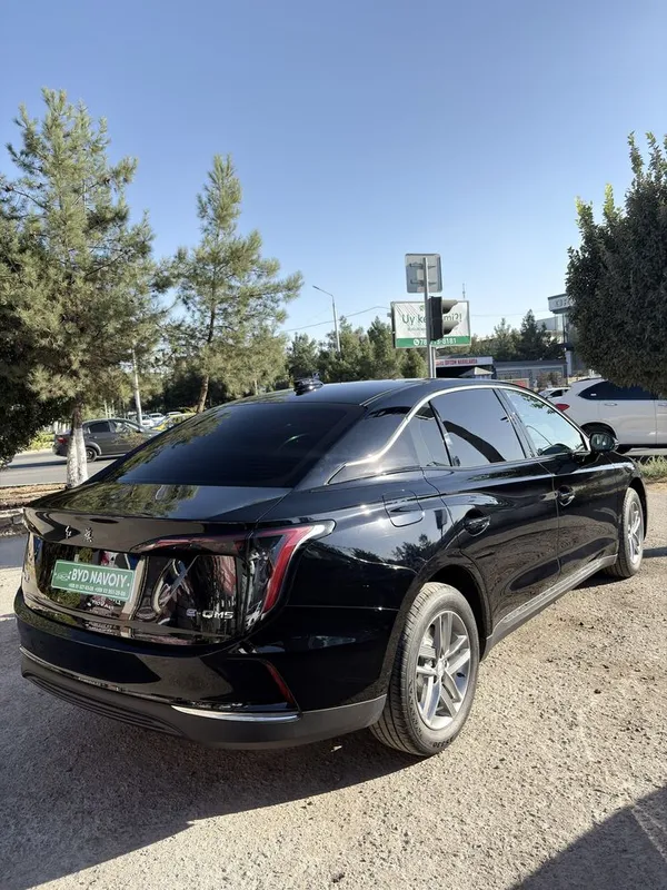 Hongqi eqm-5 500 km Под заказ 4