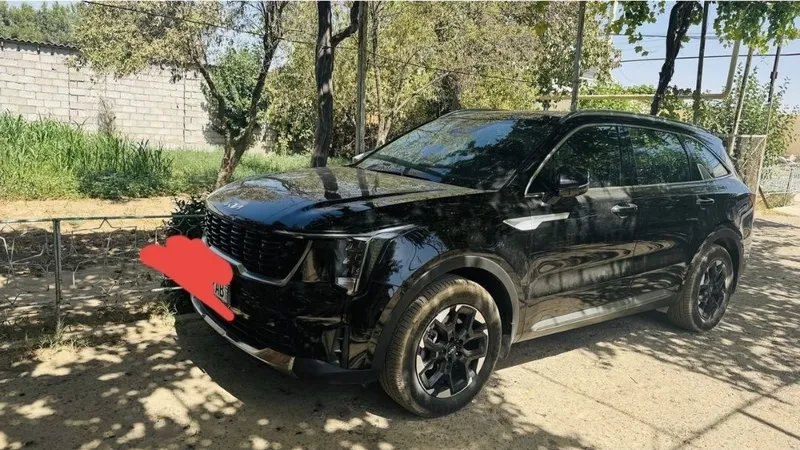 Kia Sorento 2024 yil Madel, 2,5L 5 mestalii