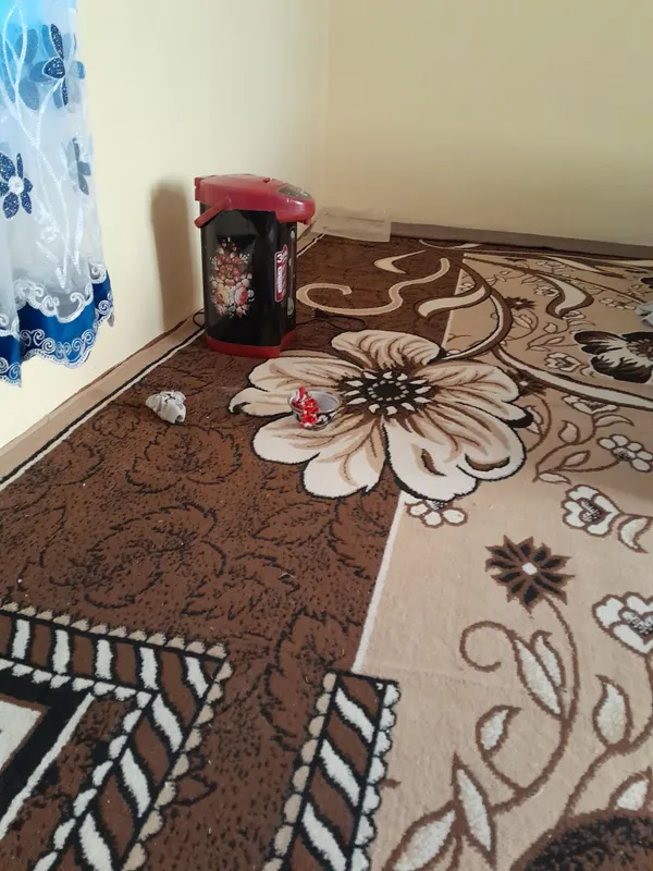Tifal kattasi