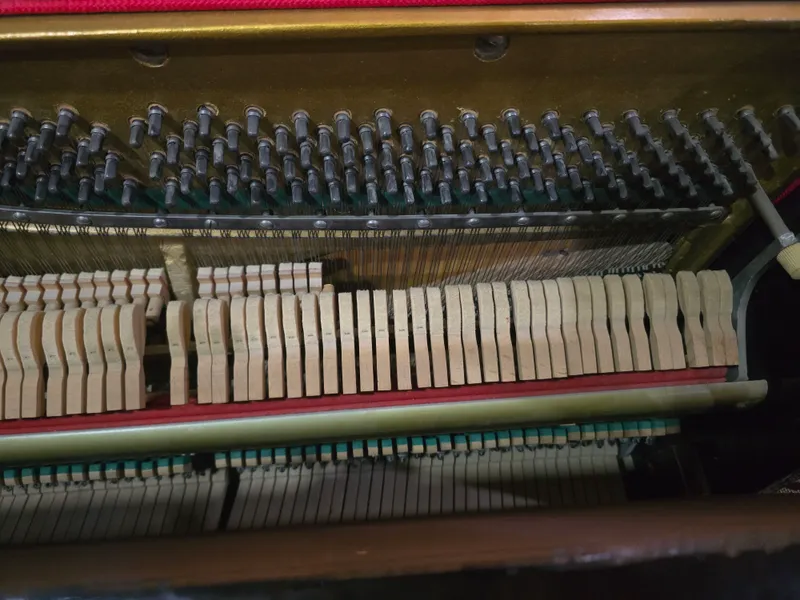 Pianino / Fortepiano — фото 1