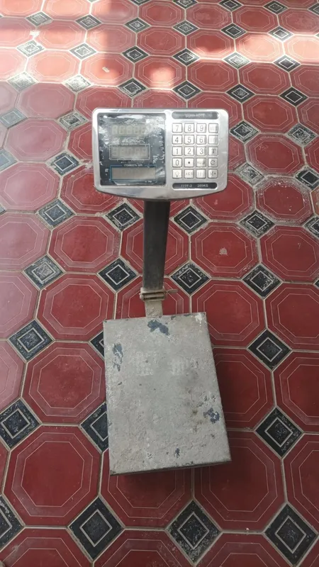 Elektron Taroz
