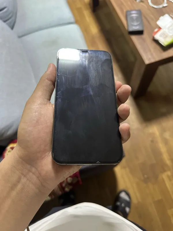 Iphone 12 pro max 256 2 Iphone 12 pro max 256 2
