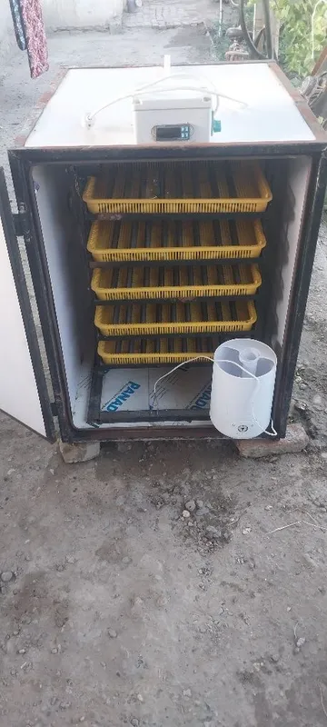 Inkubator. 500 talik 2 Inkubator. 500 talik 2