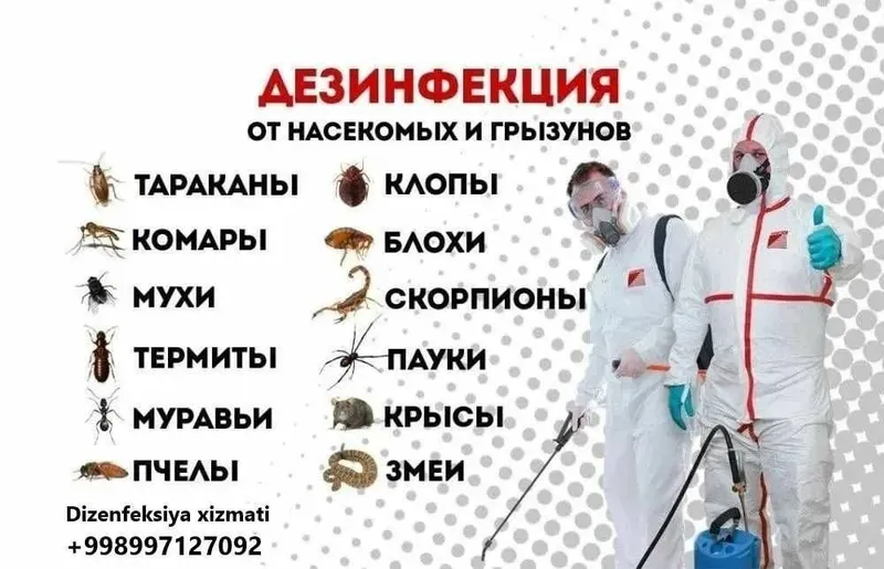 Дезинфекция Тараканов Клопов Мух Блох Клещей — фото 2