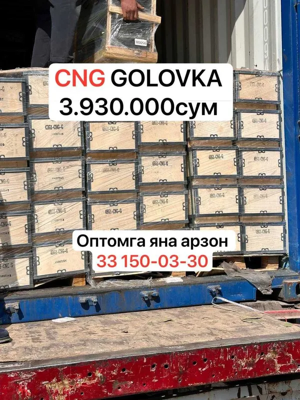 Гильза Поршень Кольцо Головка Вкладыш Коленвал Isuzu Original Parts 4