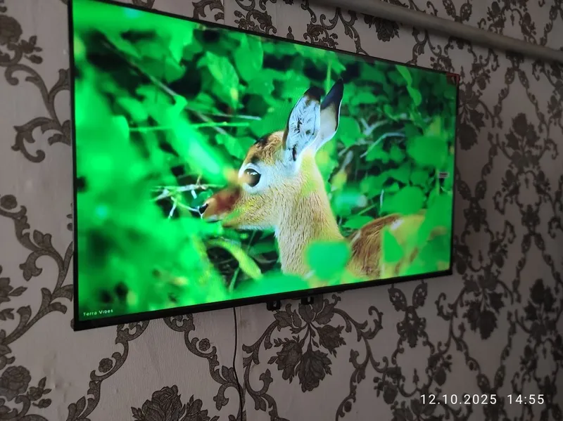 Srochna sotiladi tv TCL 43 tali googl tv smart 4 kl 4