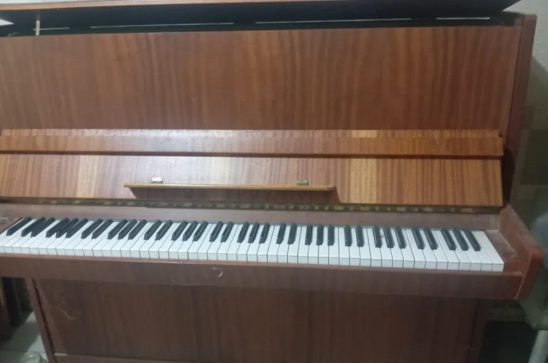 Piyanina nomi Qizil oktyabr 3