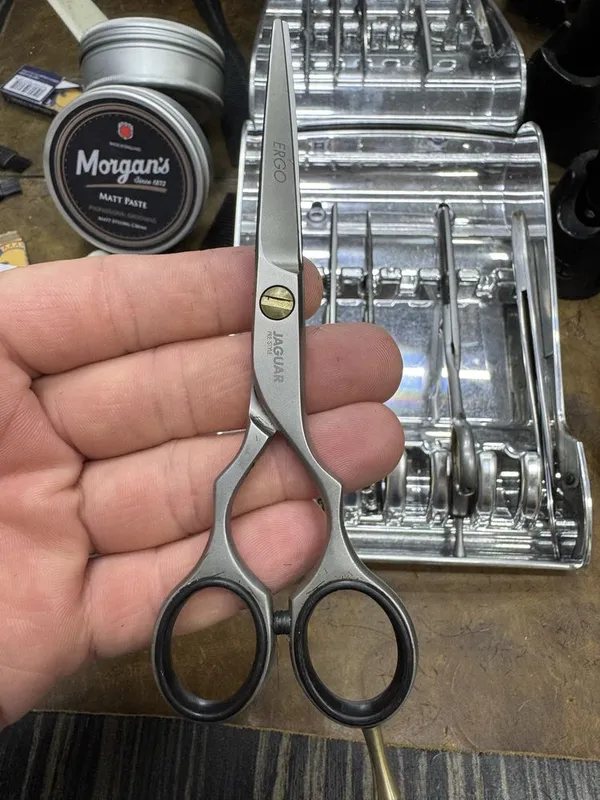 Jaguar ergo 5,5 1 Jaguar ergo 5,5 1