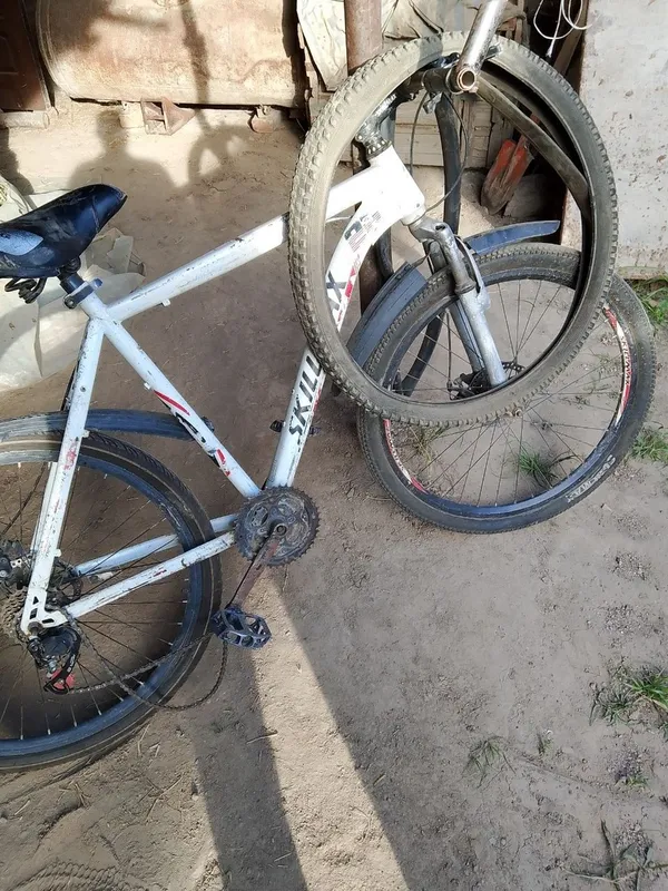 Velosiped 2 ta holati rasmda