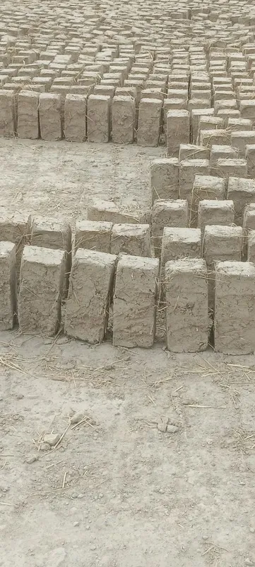 Loy blok Samarqand 3