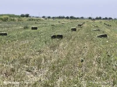 Беда прес 2 чи урим 28500, люцерна, пресс беда 3