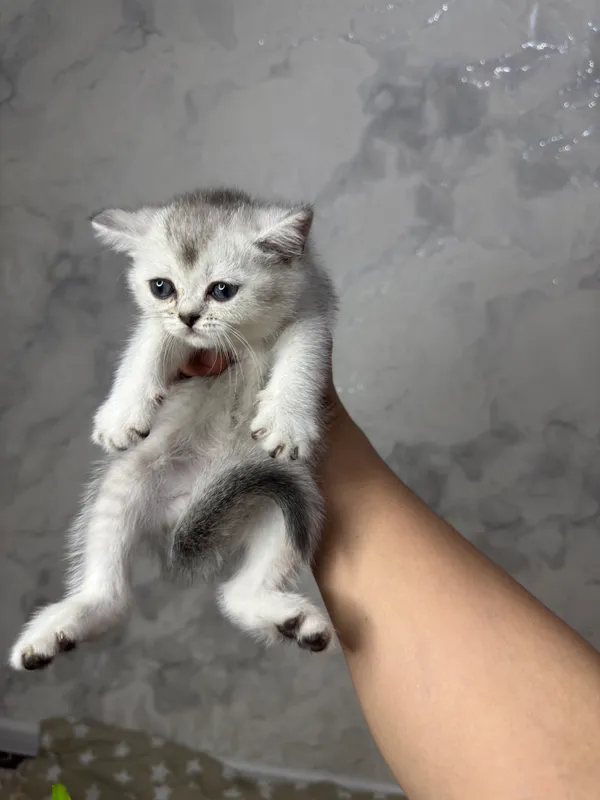 Мальчик девушка — фото 4
