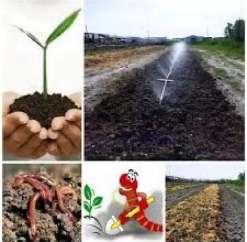 Biogomus Chernozem Optom Narh