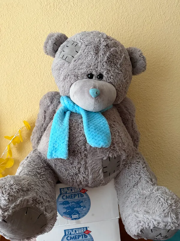 Teddy igrushka