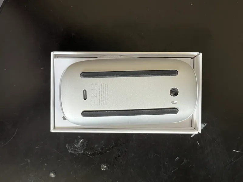 MAGIC MOUSE 2