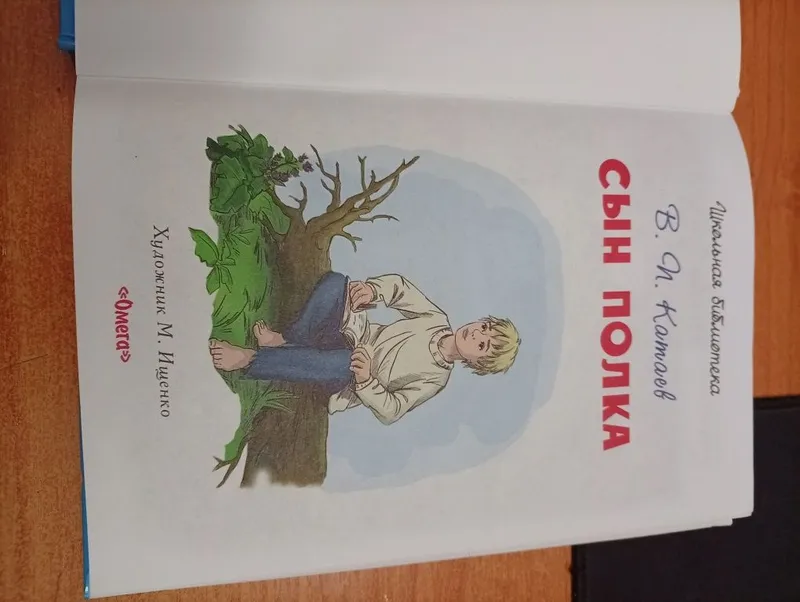 Сын полка,В.П.Катаев, школьная библиотека! — фото 4