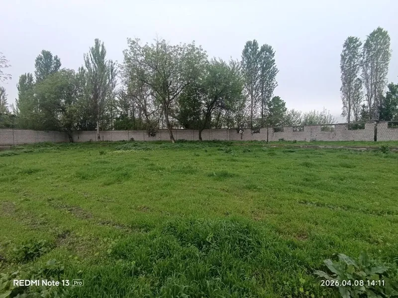 Срочно продам 31 сотку земли недалеко от ташкента 1