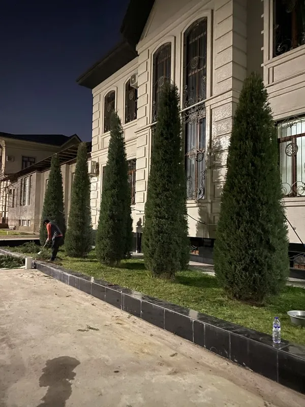 Lanshaf gazon bosish archa kesish xizmatlari bor 3 Lanshaf gazon bosish archa kesish xizmatlari bor 3