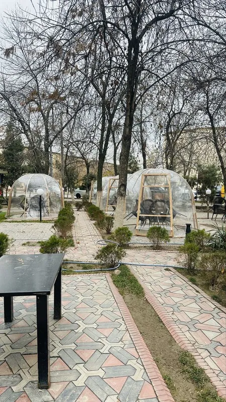 Tayyor kapsulalar sotiladi. 4 Tayyor kapsulalar sotiladi. 4