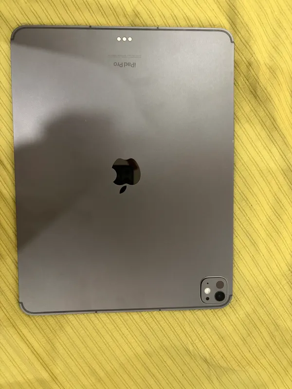 Ipad pro 13dyum M4 256gb — фото 2