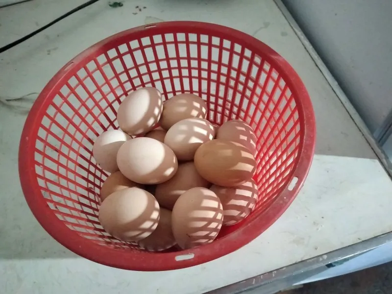 Satilmadigan Damashni tuqimlarbor