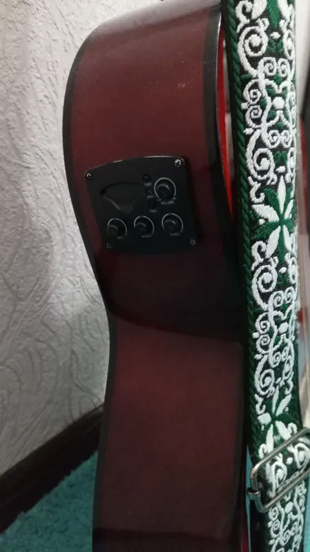 Ashton gitara 4 Ashton gitara 4