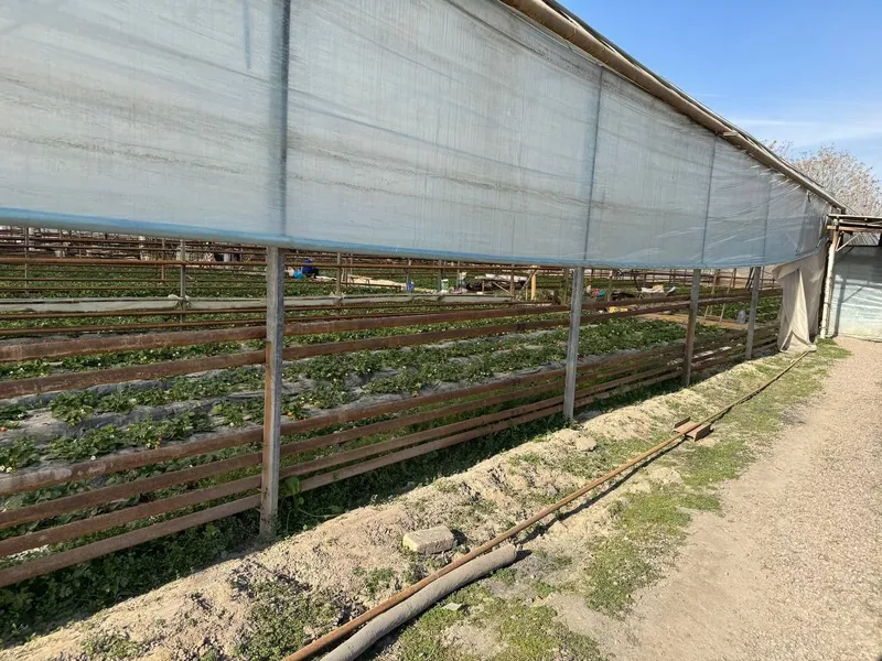 Сдается в аренду теплица, дом и аппарат для производства кирпича — продается или сдается в аренду 3 Сдается в аренду теплица, дом и аппарат для производства кирпича — продается или сдается в аренду 3