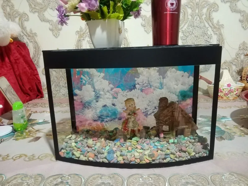 Akvarium baliq idishi Akvarium baliq idishi
