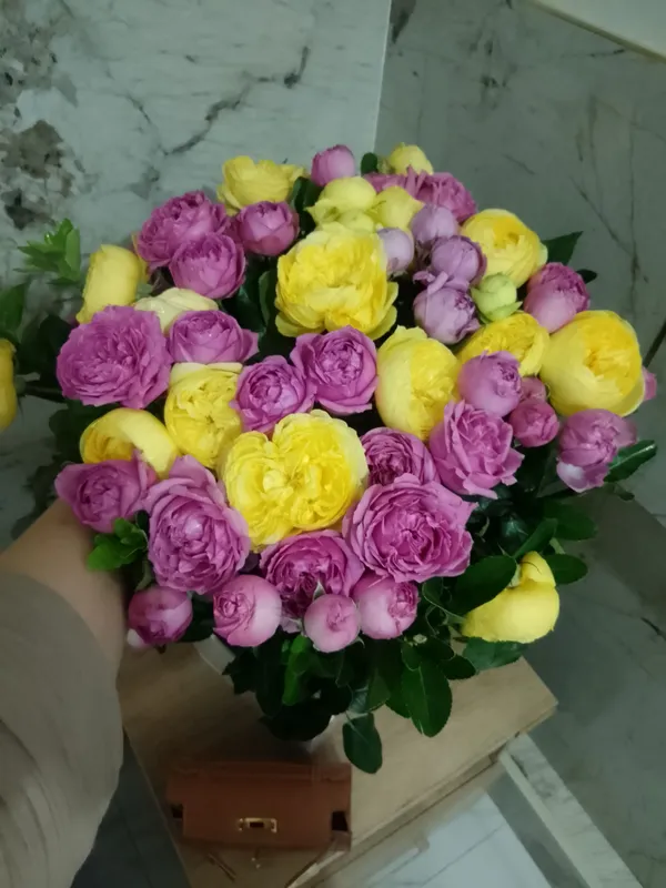 shikarniy gul 50000